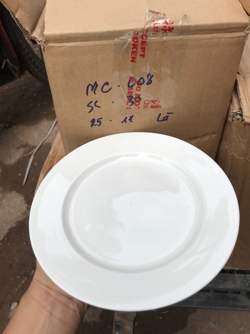 20241122_biaDvFuMFR Đĩa 8 inch cạn MC trắng gốm sứ an toàn Tmark (Kiện 30 cái) - Ảnh 1