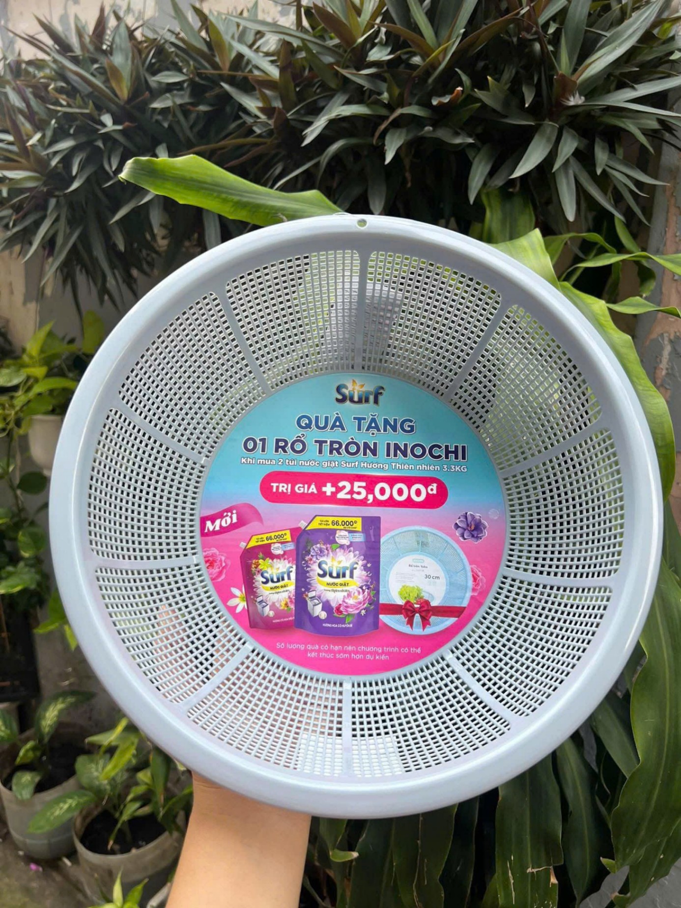 20250923_O1DJHvmnf1 Rổ Inochi 30cm (Kiện 100 cái) - Ảnh 1