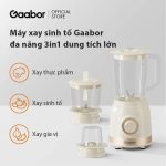 Gaabor - Máy sinh tố 16M01A