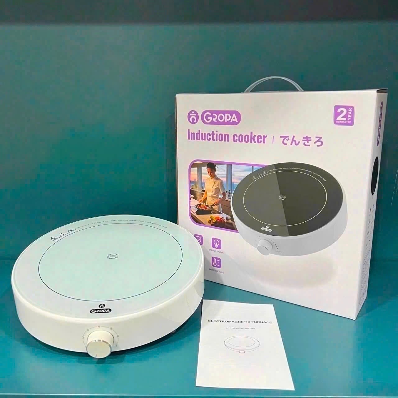 Bếp điện từ loại di động Gropa (kiện 10c) - Ảnh 2