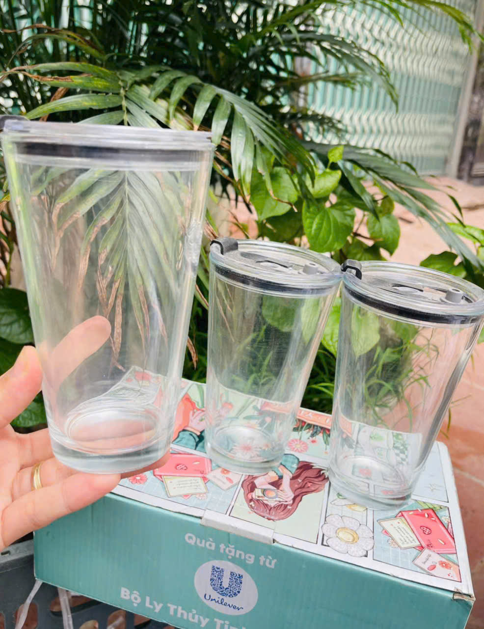 Bo-3-li-thuy-tinh-khong-kem-ong-hut-kien-16-bo-_b32470f54164f63aaf75 Bộ 3 ly thủy tinh có nắp không kèm ông hút Tmark (Kiện 16 bộ) - Ảnh 1