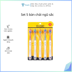 Set 5 bàn chải ngũ sắc (Kiện 100 set)