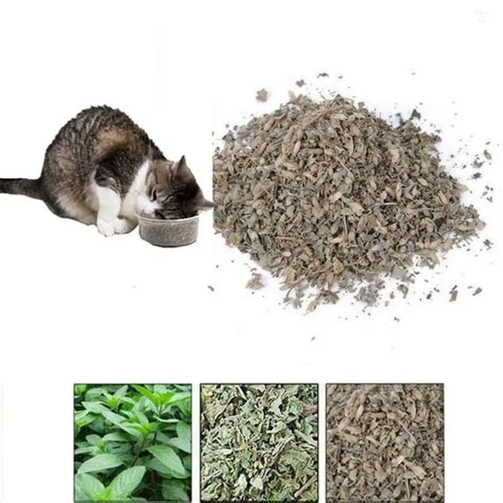 cách sử dụng cỏ mèo khô