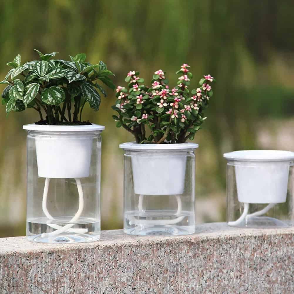 những sản phẩm kinh doanh độc đáo